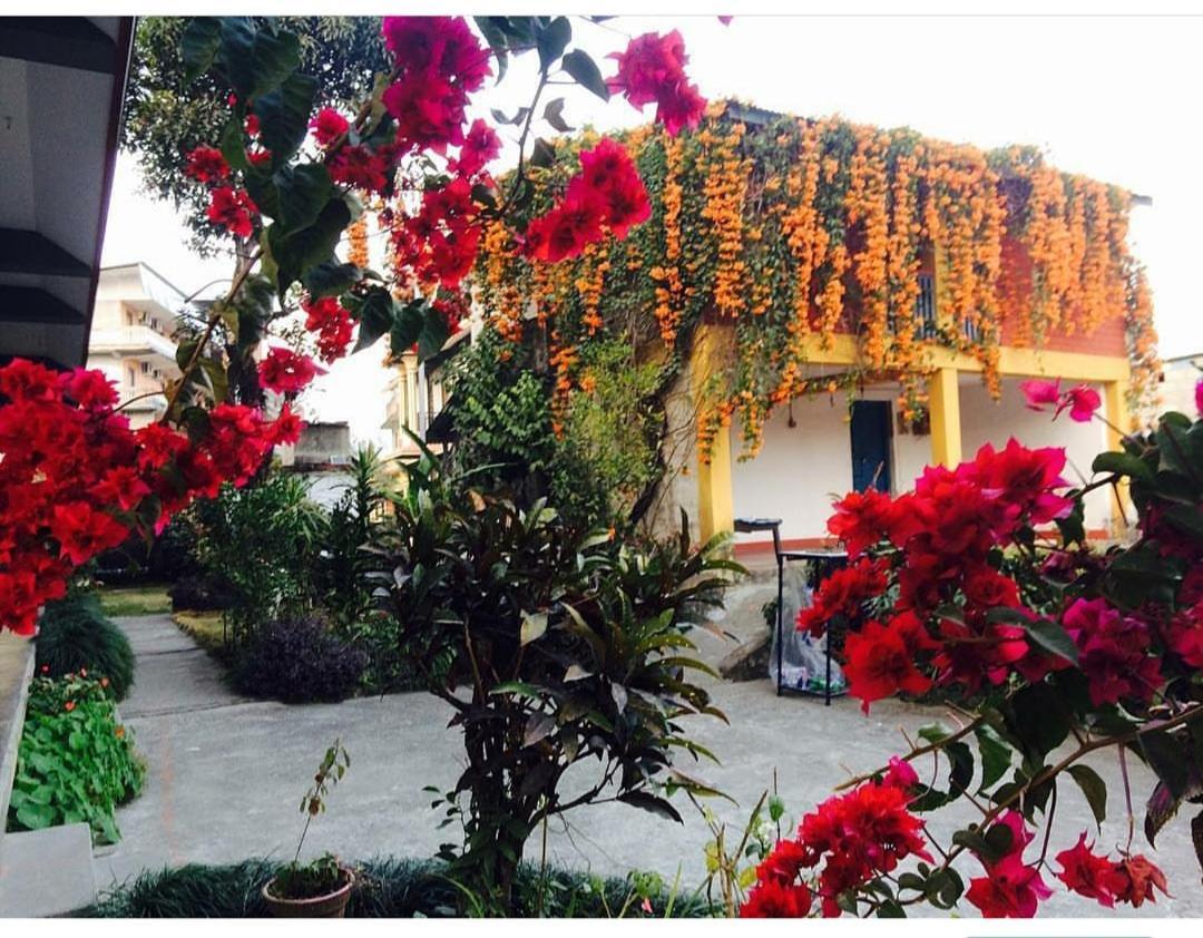 Hotel Mountain View - Lakeside Pokhara Ngoại thất bức ảnh